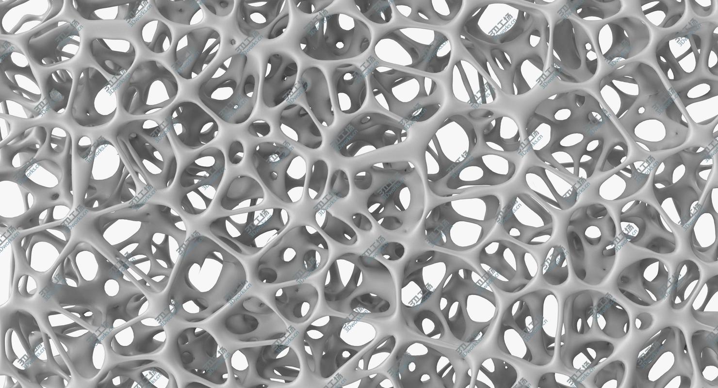 images/goods_img/2021040231/Bone Matrix Rectangle 3D model/4.jpg